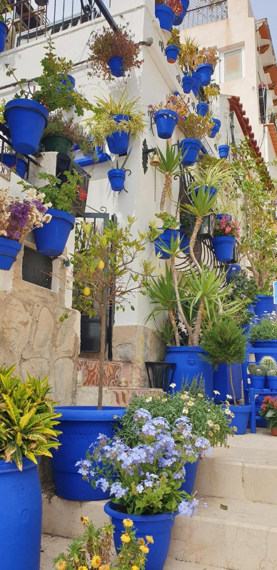 El Barrio Alicante , Playa Y Casco Antiguo Eksteriør billede